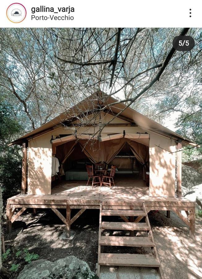 Camping Gallina Varja Sotta Kültér fotó