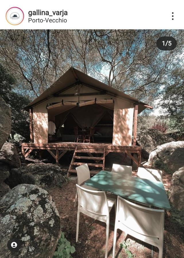 Camping Gallina Varja Sotta Kültér fotó
